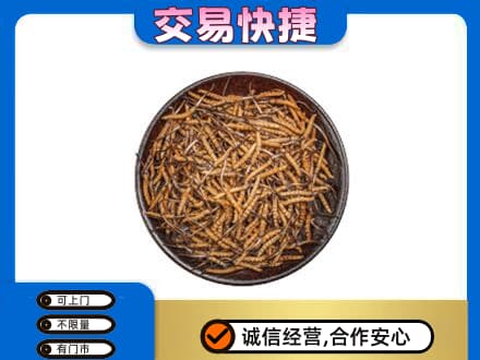 饶阳县高价回收散虫草